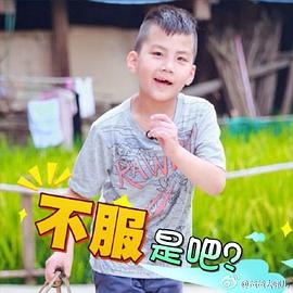 胡皓康