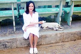 王智