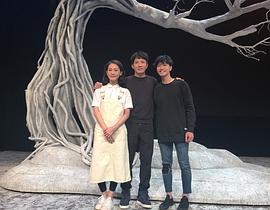 陈柏宇