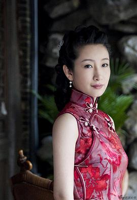 秦海璐