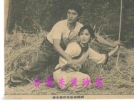 汪禹
