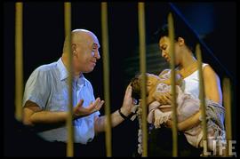 奥托·普雷明格