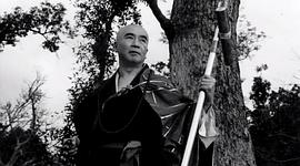 杨志卿