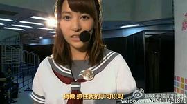 伊波杏树