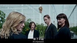 费伊·马赛