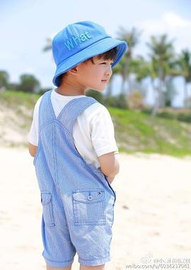 田宸羽