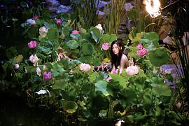 全智贤