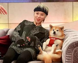 窦靖童