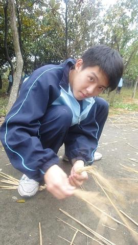 朱元冰