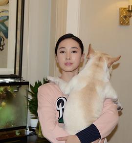 贾晓晨