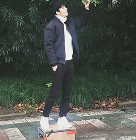 苗贺程