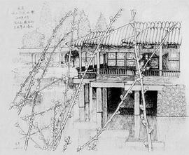 沈从文