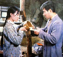 丛珊