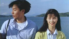 王美华