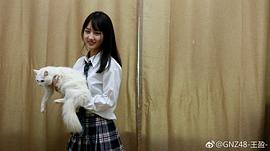 王盈