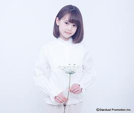 齐藤萌红美