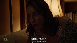布丽·特纳