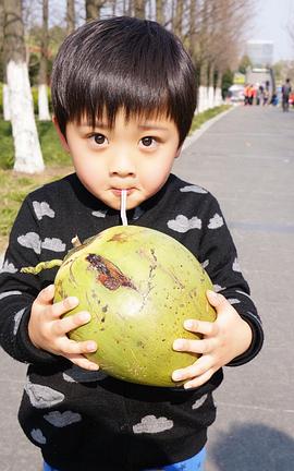 彭子苏