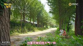 崔民秀