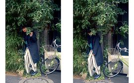 井之胁海