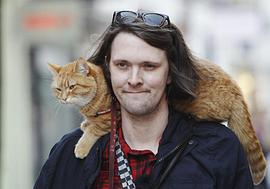 猫鲍勃