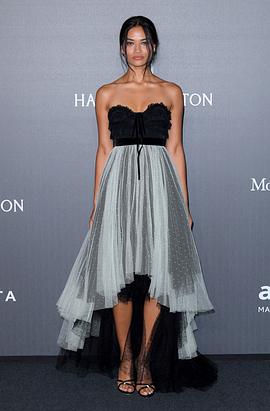 Shanina Shaik