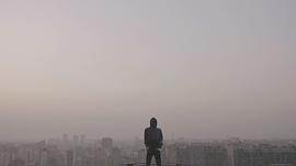 朴树