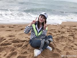 赵圆圆
