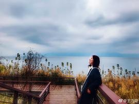 王力可