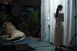 札玲朋·尊克迪