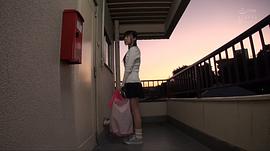 蕾