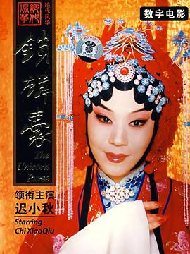 迟小秋