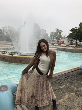 桐岛莉乃