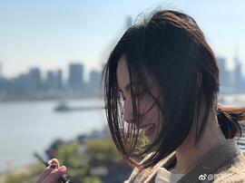 陈米麒
