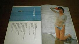 张盈真