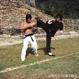 杨斯