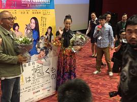 泽尻英龙华