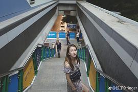 弦子
