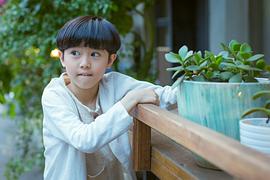 杨曾曦