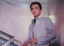 杨晓丹