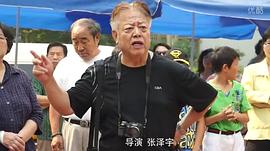 张泽宇