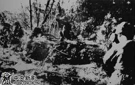 刘德源
