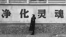 王珞丹