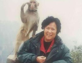 杨洁