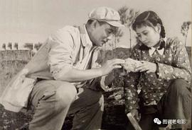 王晓棠