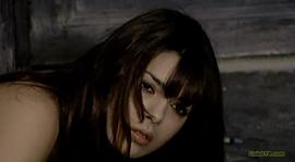 索尼娅·维维安妮