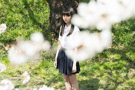 石桥宇轮