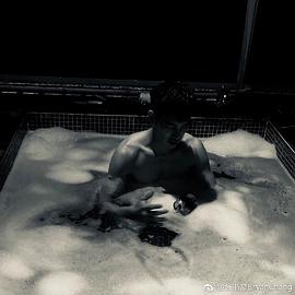 张书豪