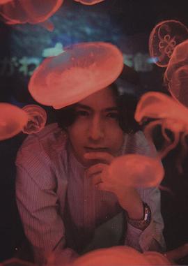 藤井流星