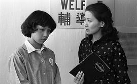 李司棋